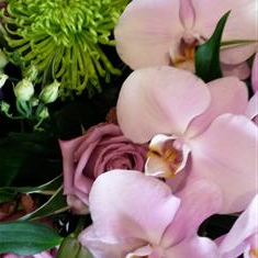 Orchid and rose hand tied